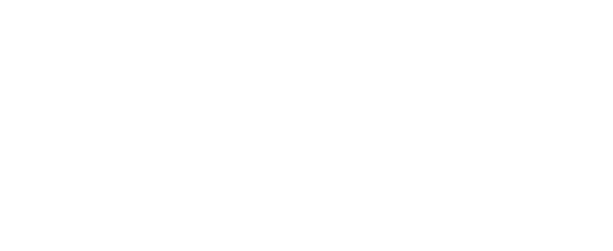 Logo Pluz Exact