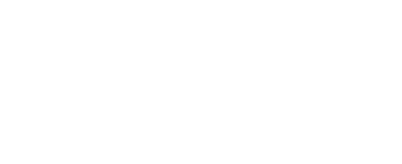 Logo Mas Errazuriz