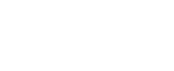 Exact Faber Castell logo